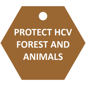 PROTECT HCV FOREST AND ANIMALS